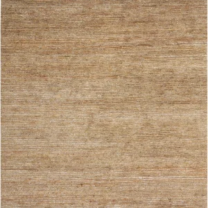 CK33 MESA MSA01   Fossil